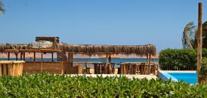 a resort with a pool and a straw roof at Bamboo Paracas Hotel in Paracas