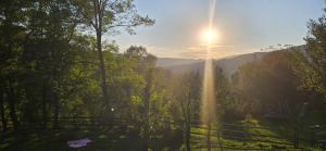 a view of a forest with the sun shining through the trees at Forest House Doftana in Teşila