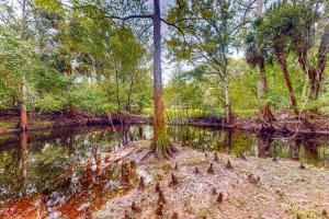 Gallery image of Bunk House in Morriston