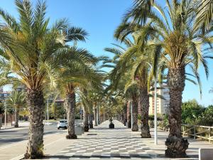 una hilera de palmeras en una acera en Dune Beach, en Arenales del Sol 9 fotos más