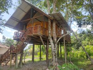 una casa en un árbol en un bosque en Hotel Karupa Amazonas en Leticia