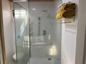 y baño con ducha y puerta de cristal. en Odyssey Suites Loft Apartment en Georgetown