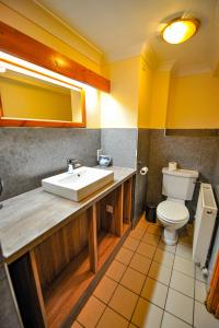 a bathroom with a sink and a toilet at The Coachman Hartford in Hartford