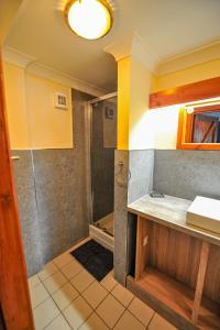 a bathroom with a shower and a sink at The Coachman Hartford in Hartford