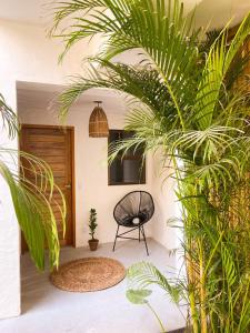 a room with a chair and palm plants at Pousada Baobá in Jericoacoara
