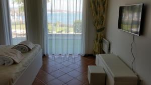Μια τηλεόραση ή/και κέντρο ψυχαγωγίας στο Apartment Antea Pontica