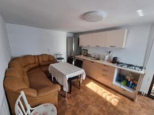 a living room with a couch and a table and a kitchen at Casa Petcu in Craiova