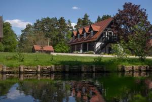 a house next to a river with a house at Spreewald Chalet Wohnung in Kolonie