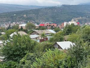 a group of buildings and trees in a city at villa with beautiful view 3 in Tbilisi City