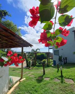 a tree with red flowers in a yard at Vila Boa Vista Itacaré in Itacaré