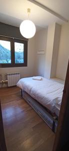 1 dormitorio con 1 cama grande en una habitación en Mirador de Sanvi en Escarrilla