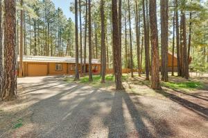 a cabin in the middle of a forest at 11 Mi to Rainbow Lake Family Home with Large Yard in Indian Pine