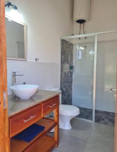 a bathroom with a sink and a shower and a toilet at Haasienda - Nido del Loro - Casa de Arbol 