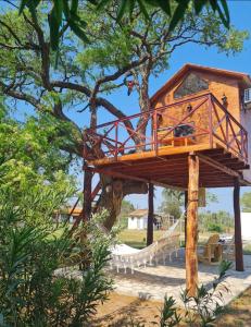 ein Baumhaus mit Hängematte in einem Baum in der Unterkunft Haasienda - Nido del Loro - Casa de Arbol 