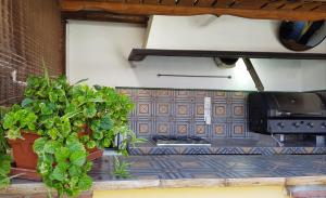 an outdoor kitchen with a stove and plants at Posada Alpujarra Sol in Órgiva