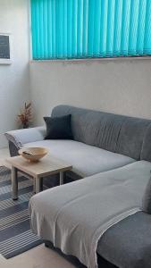 - un salon avec un canapé et une table dans l'établissement Apartment Feral, à Neum