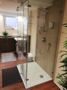 ein Bad mit einer Dusche und einer Glastür in der Unterkunft Maison Madlene in Frickenhausen