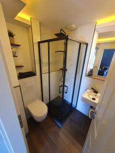 a bathroom with a shower and a toilet and a sink at Neumühler Hof- Ferienwohnung "Benjamin" mit großer Privater Dachterasse und guter Anbindung in die City in Schwerin