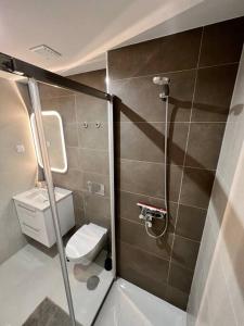 a small bathroom with a toilet and a shower at Luxury flat with ocean view Nazaré Sitio in Nazaré