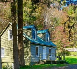una casa blu con tetto blu di Cozy and Charming Cottage with Jacuzzi and Fire Pit! a Livingston Manor