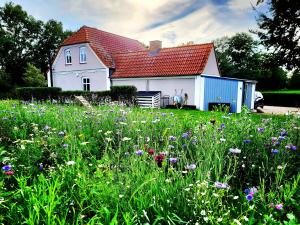 Fotografie z fotogalerie ubytování Urlaub im Haus an der Bucht v destinaci Nordborg