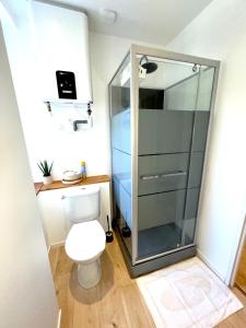 a bathroom with a toilet and a glass shower at Appartement le Regnaudin in Moulins