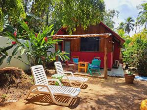 O grădină în afara Macondo Hostel