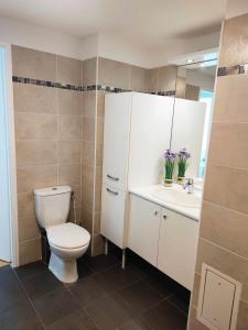 a bathroom with a toilet and a sink and a mirror at Bright and fully renovated studio in Vanves in Vanves