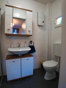 a bathroom with a sink and a toilet at Ferienhaus Pottschach 