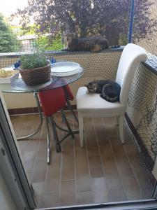 En balkon eller terrasse på Gästezimmer bei Katzenliebhaberin und Chihuahua
