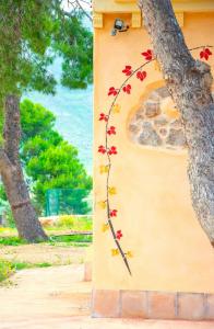 Zahrada ubytování Ecoturismo Cabo Tiñoso