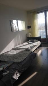 Studio 3 personnes jolie vue proche gare 11 ave paul arene