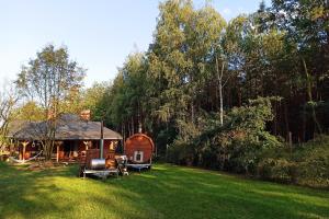 a large yard with a cabin in the woods at Dom imprezowy z noclegami Dziecinów in Dziecinów