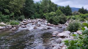 Príroda v okolí apartmánu