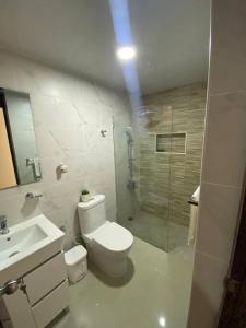 La salle de bains est pourvue de toilettes, d'une douche et d'un lavabo. dans l'établissement Apartamento céntrico Paradise k2, à Santiago de los Caballeros