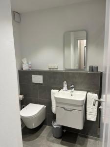 a bathroom with a toilet and a sink and a mirror at Kristallklar inklusive MeineCard Plus in Willingen