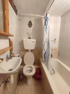 een badkamer met een toilet, een wastafel en een bad bij גינה ירושלמית in Jeruzalem