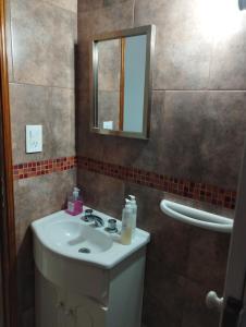 een badkamer met een wastafel en een spiegel bij Albajunin in Junín