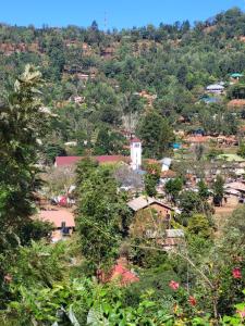 a small village in the middle of a forest at Steven and Dayness homestay in Lushoto