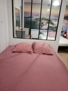 - un lit avec des draps roses dans une chambre avec des fenêtres dans l'établissement Maison de bourg dans un quartier médiéval, avec café et thé offert, à Clermont-Ferrand