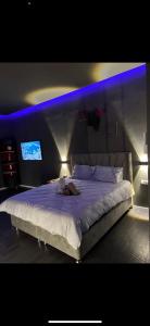 1 dormitorio con 1 cama grande con luz azul en Jentelmen rooms en Haifa
