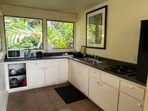 uma cozinha com armários brancos, um lavatório e duas janelas em Aaron’s cottage em Hilo