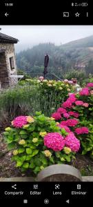 a flower garden with pink and yellow flowers and a statue at CASA EL TEIXO in Taramundi
