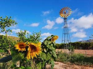 Zahrada ubytování Ecoturismo Cabo Tiñoso
