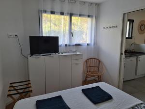 a room with a bed and a television on a counter at Les chênes verts in Sommières