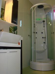 a bathroom with a shower and a sink at Casa Nicoli in Băile Olăneşti +18 photos