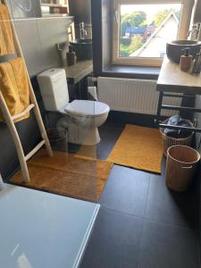 ein Bad mit einem WC und einem Fenster in der Unterkunft Au saut du Train in Remicourt