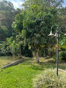 マイリンケにあるChácara para descanso , lindo espaço verde ,com piscinaの木の公園内の街灯