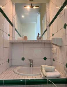 baño con lavabo y espejo grande en Chez Vanessa, en Saint-Gervais-dʼAuvergne