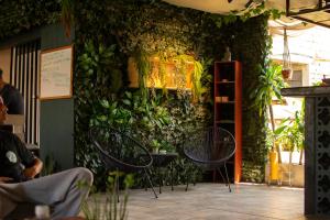 a room with a green wall with chairs and plants at Oasis Hostel Medellin in Medellín